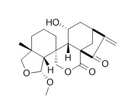 6-epi-Augustifolin