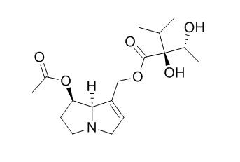 7-Acetylintermedine