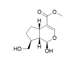 7-Deoxy-10-hydroxyloganetin