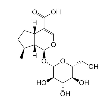 7-Deoxyloganic acid