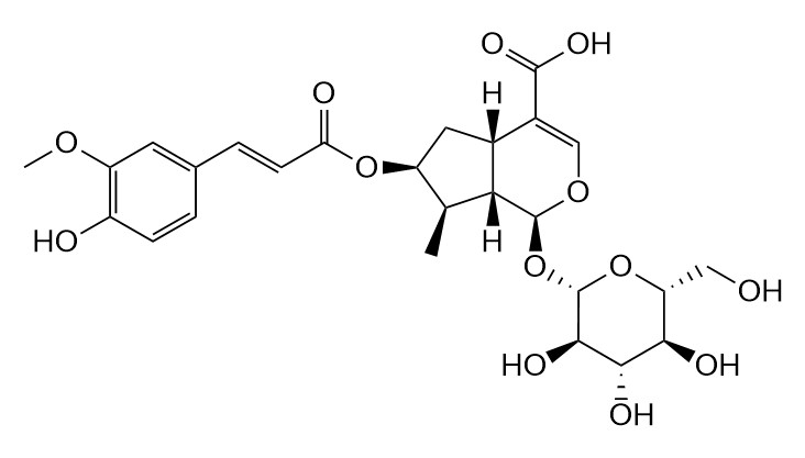 7-Feruloylloganic acid