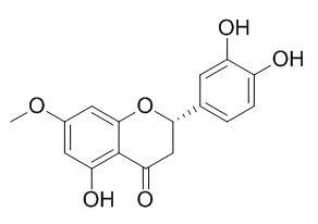 7-O-Methyleriodictyol