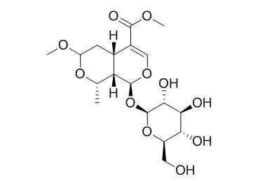 7-O-Methylmorroniside