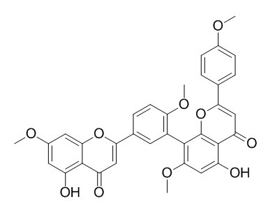 7''-O-甲氧基金松双黄酮