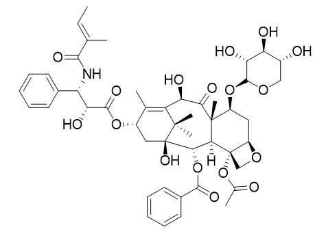 7-Xylosyl-10-deacetyltaxol B