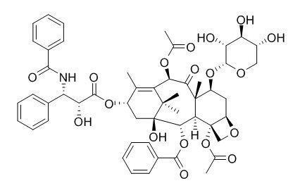 7-木糖基-紫杉醇