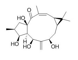 7-beta-Hydroxylathyrol