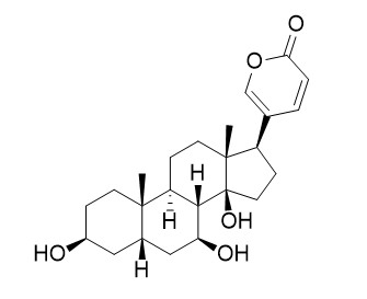 7beta-Hydroxybufalin