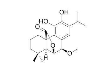 7beta-Methoxyrosmanol