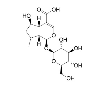 8-Dehydroxy shanzhiside