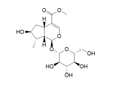 8-Epiloganin