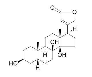 8-Hydroxydigitoxigenin