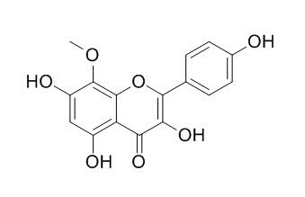 8-Methoxykaempferol