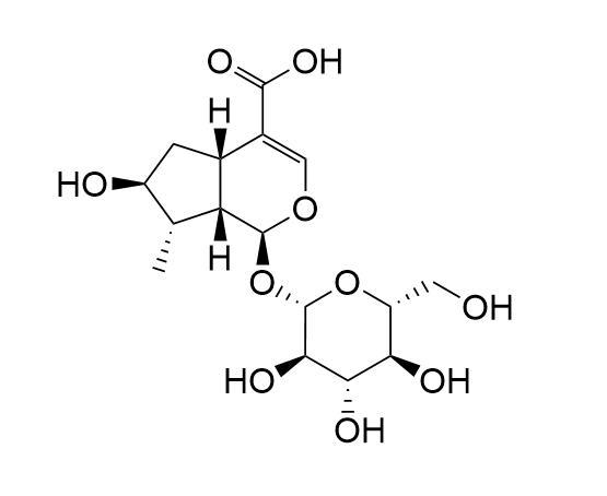 8-epi-Loganic acid