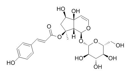 8-p-Coumaroylharpagide