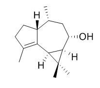 8alpha-Hydroxy-alpha-gurjunene