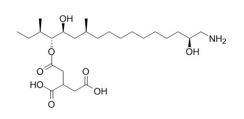 AAL Toxin TC2