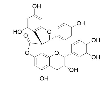 Abiesinol B