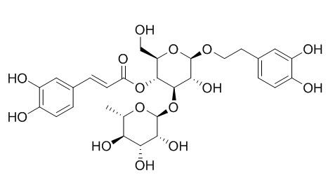 Acteoside