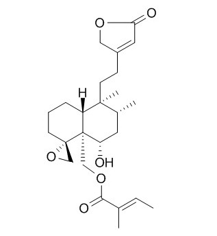 Ajugamarin L2