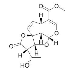 Allamandicin