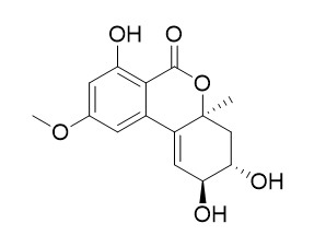 Altenuene