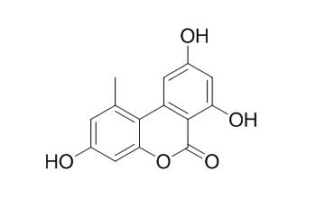 Alternariol