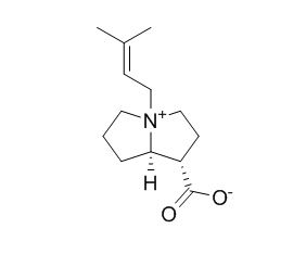 Anodendrine