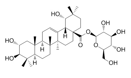 Arjunetin