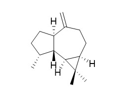 Aromadendrene