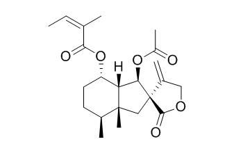 Bakkenolide B