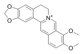 Berberine