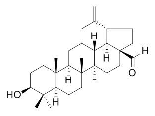 Betulinaldehyde