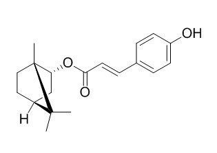 Biondinin C