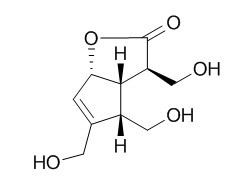 Borreriagenin