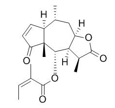 Brevilin A