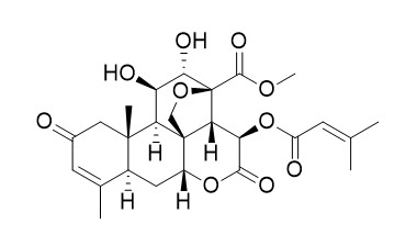 Brusatol