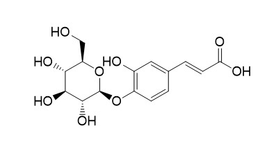 Caffeic acid 4-O-glucoside