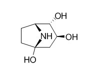 Calystegine A5