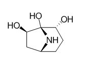 Calystegine A6