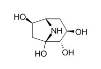 Calystegine B1