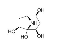 Calystegine B5