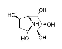 Calystegine C2