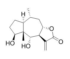 Carabrolactone B