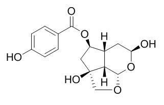 Catalpin