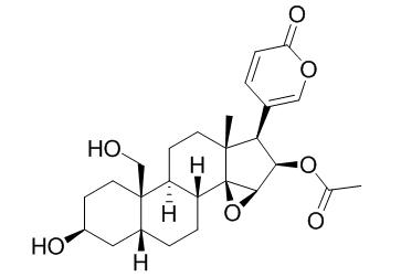 Cinobufaginol