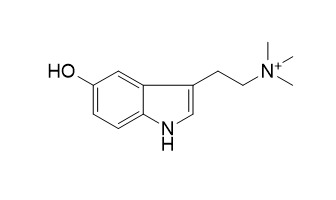 Cinobufotenine