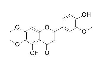 Cirsilineol