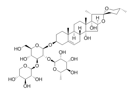 Cixiophiopogon A