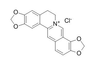 Coptisine chloride